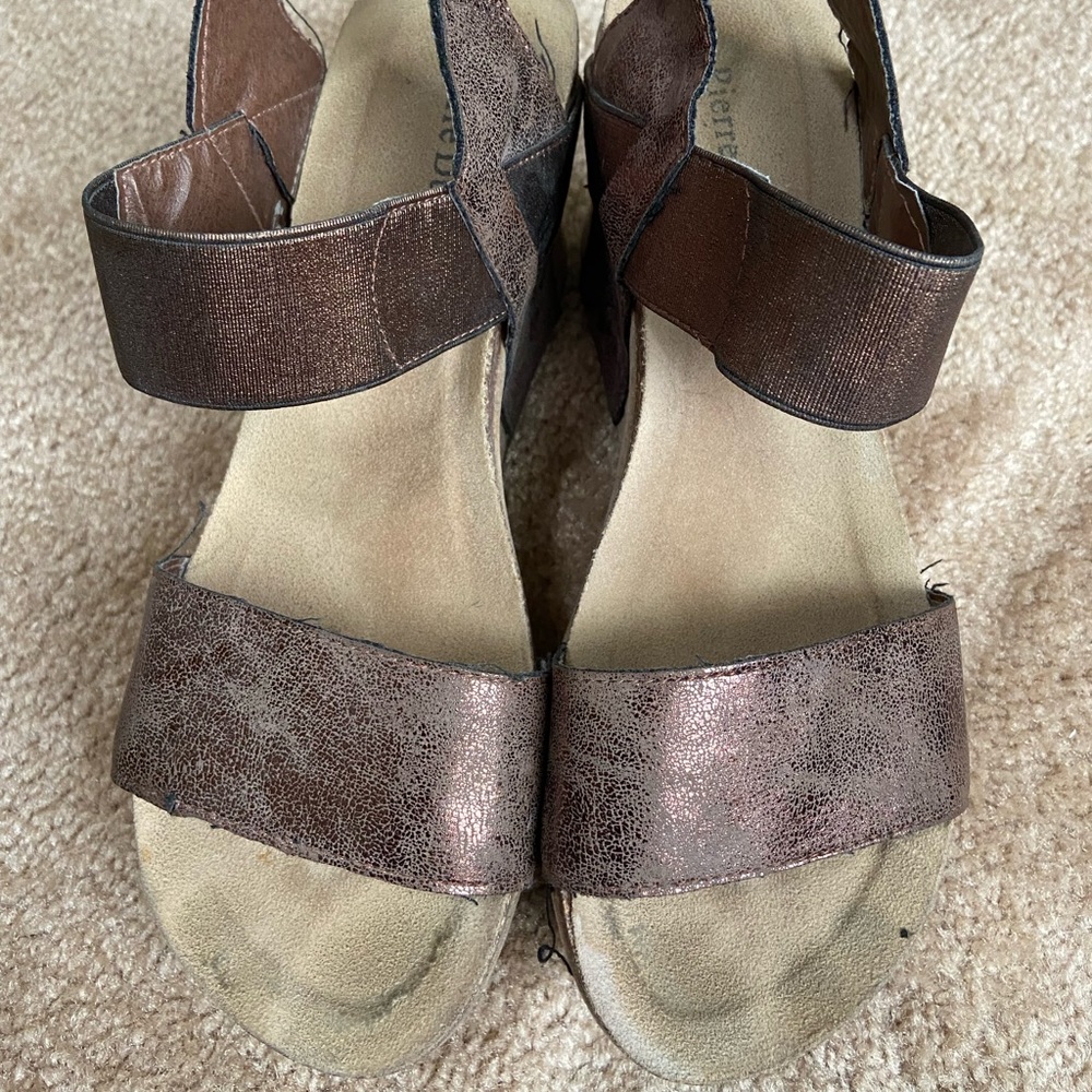 Pierre Dumas Wedges